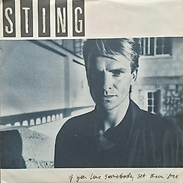 STING * IF YOU LOVE SOMEBODY SET THEM FREE , ANOTHER DAY 45Lik