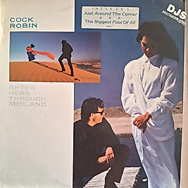 COCK ROBIN * AFTER HERE THROUGH MIDLAND