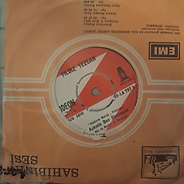 YULDIZ TEZCAN * KALDIRIM MELEĞİ