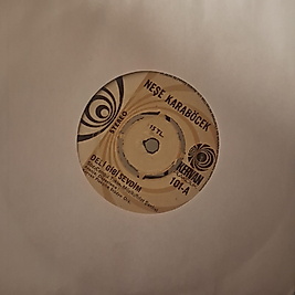 NEŞE KARABÖCEK * DELİ GİBİ SEVDİM