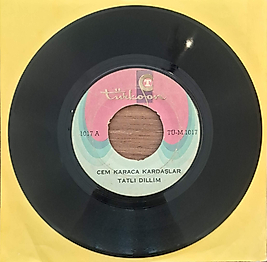 CEM KARACA - TATLI DİLLİM , DEMEDİM Mİ 45LİK
