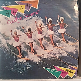 ÇEŞİTLİ SANATÇILAR * GOODBYE SUMMER