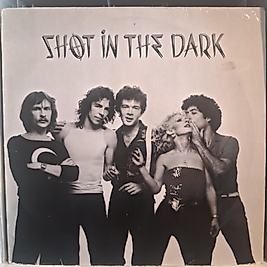 SHOT IN THE DARK