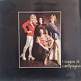 I CUGINI DI CAMPAGNA